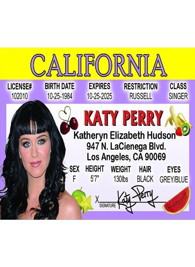 Signs 4 Fun Parody Driver’s License | Katy Perry ID | Fake ID Novelty Card | Collectible Trading Card Driver’s License | Novelty Gift for Holidays | Made in The USA